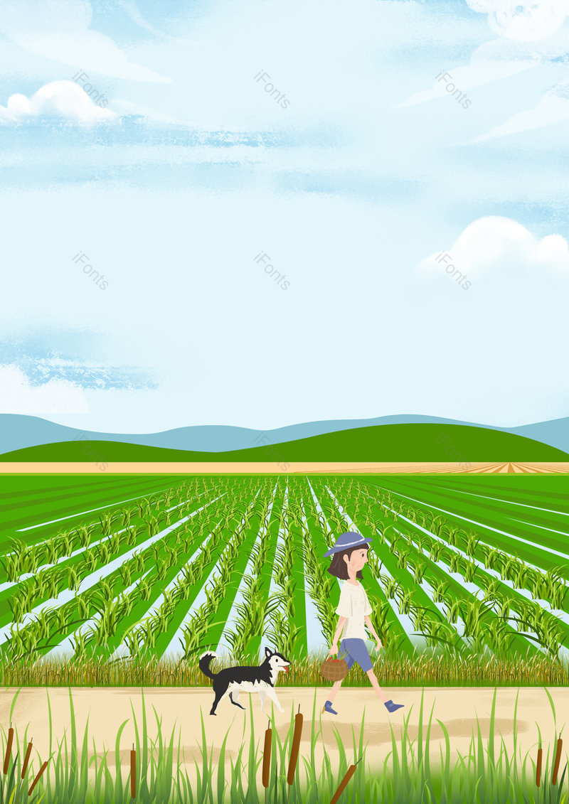 绿色二十四节气芒种水稻稻田创意背景 ,插画/手绘图,插画/手绘图库,插画/手绘图下载,插画/手绘